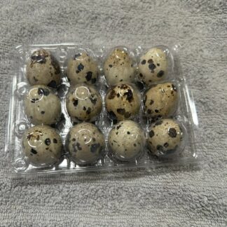 Quail Eggs (1 Dozen)