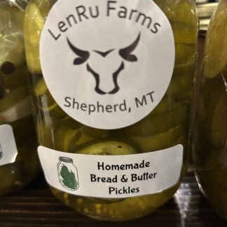 Cucumber (Homemade Bread & Butter Pickled)